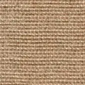 Beige textured fabric sample displaying a horizontal weave pattern, with a matte finish and visible grid structure; label reads "swan > fabric (elite) > elite 299 24."